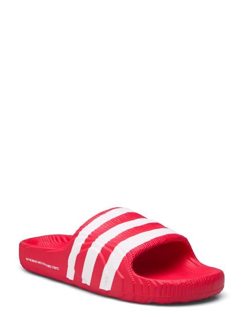 Se Adilette 22 Adidas Originals Red ved Booztlet