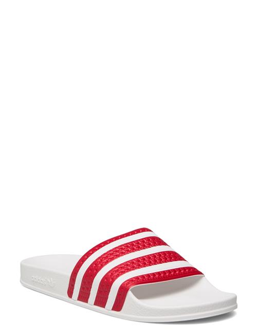 Adilette Adidas Originals Red