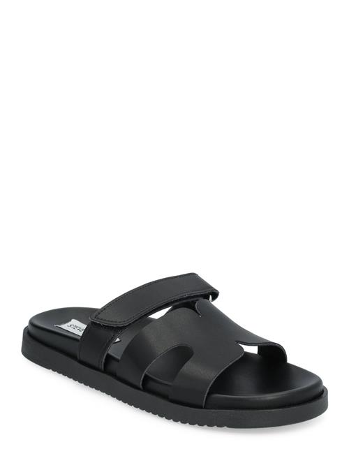 Se Missile-E Sandal Steve Madden Black ved Booztlet