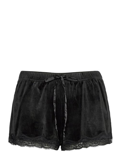 Short Velours Scallop Lace Hunkemöller Black