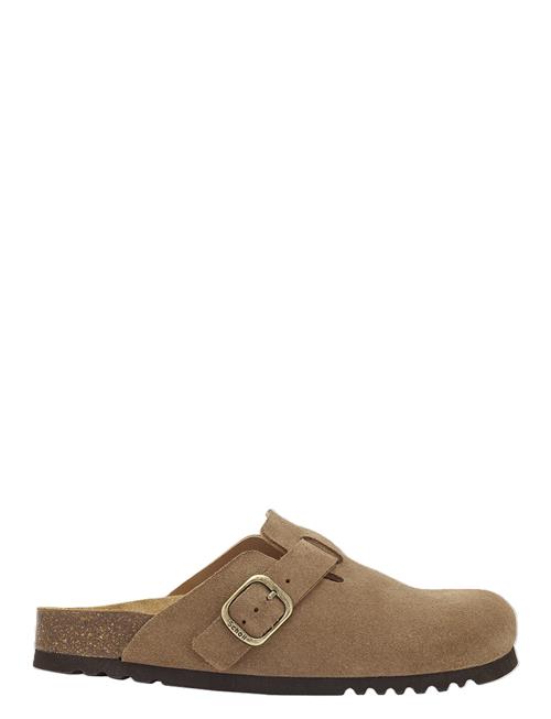 Sl Fae Suede Taupe Scholl Brown