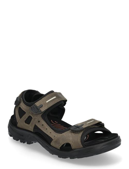 Se Offroad ECCO Khaki ved Booztlet