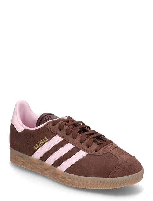 Adidas Gazelle Adidas Originals Burgundy