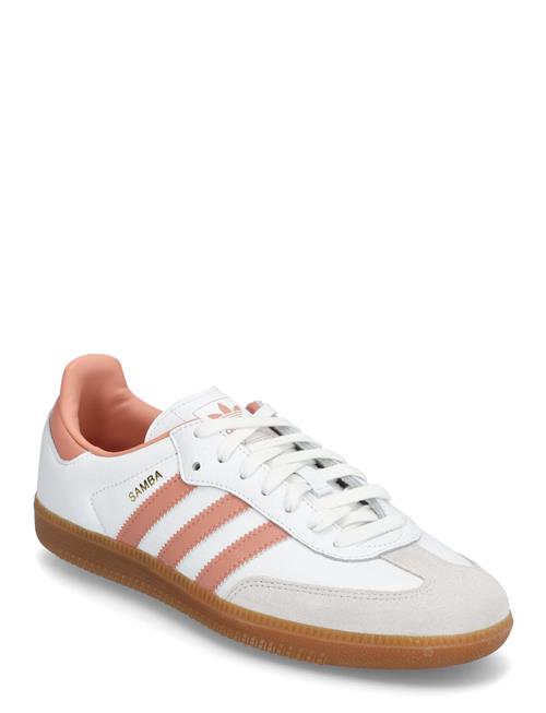 Se Samba Og Adidas Originals White ved Booztlet