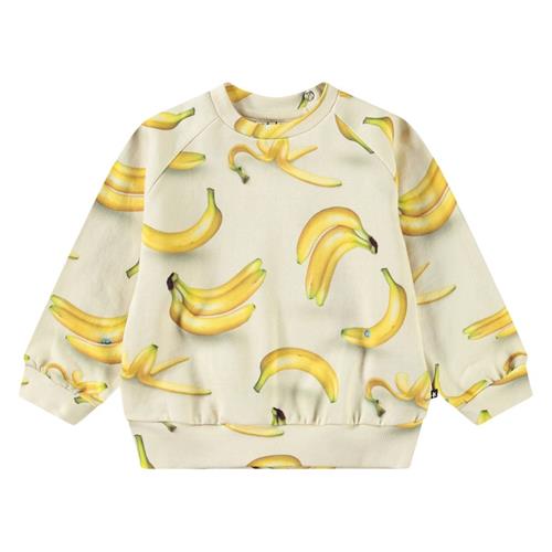 Molo Disc  Babynanas 68 cm  Beige  68 cm  Unisex
