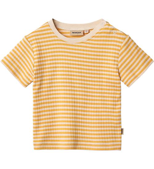 Wheat T-shirt - Fabian - Yellow Rib Stripe