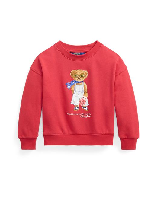 Polo Ralph Lauren Sweatshirt  blå / lysebrun / lys rød / hvid