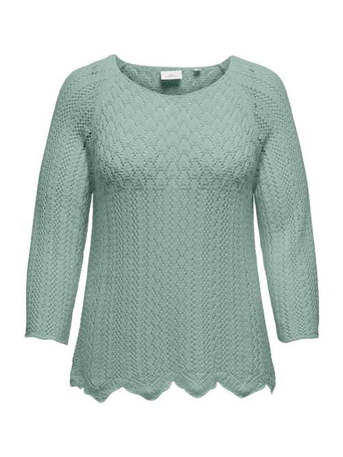 Se ONLY Carmakoma Pullover 'CARNOLA'  mint ved About You