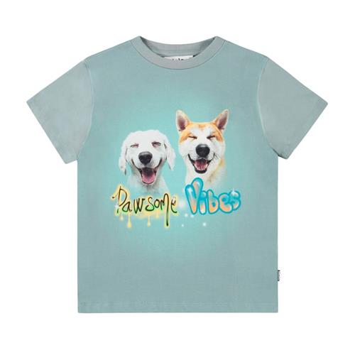 Molo Rame Short Sleeve T-Shirt Pawsome Vibes 98 cm  Blå  98 cm  mand