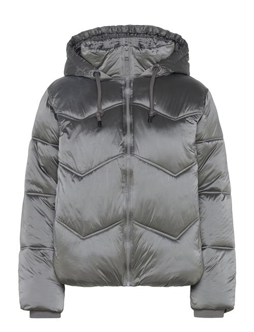 Fqshorty-Jacket FREE/QUENT Grey