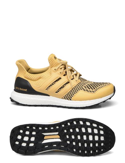 Ultraboost Golf Adidas Golf Gold