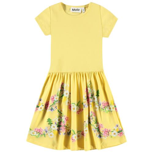 Molo Cissa Short-Sleeved Dress Garlands 98/104 cm  Gul  98/104 cm  kvinde