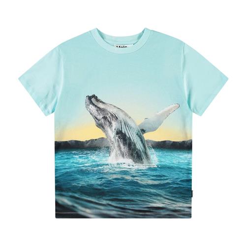 Molo Rame Short Sleeve T-Shirt Whale Jump 98 cm  Blå  98 cm  mand