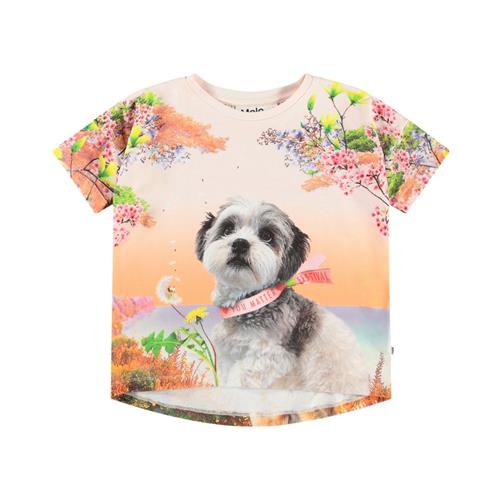 Molo Raeesa Short Sleeve T-Shirt Festivalgoers 122 cm  Orange.  122 cm  kvinde