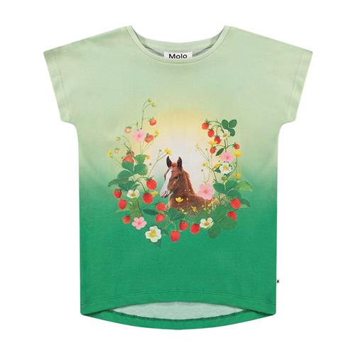 Molo Ragnhilde T-Shirt Beauty 152 cm  Grøn  152 cm  kvinde