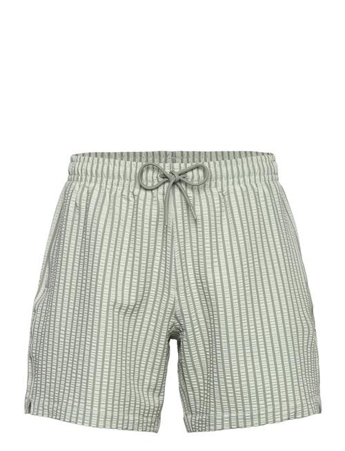 Anf Mens Swim Abercrombie & Fitch Green