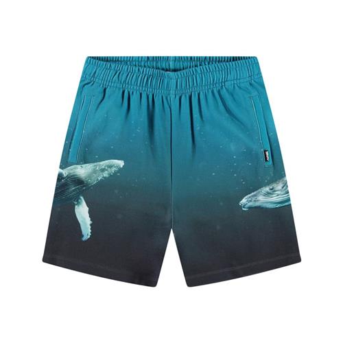 Molo Amil Soft Pants Whale Dive 152 cm  Blå  152 cm  mand