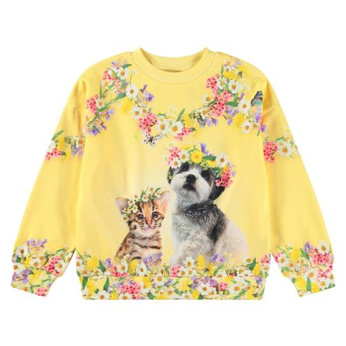 Molo Maxi Sweatshirt Sweet Maggie 116 cm  Gul  116 cm  kvinde