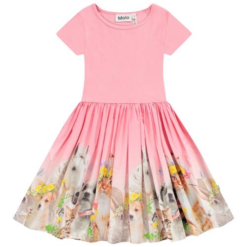 Molo Cissa Short-Sleeved Dress Midsummer 134/140 cm  Lyserød  134/140 cm  kvinde
