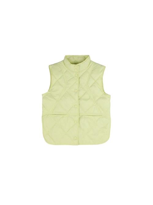 Scalpers Vest  lime