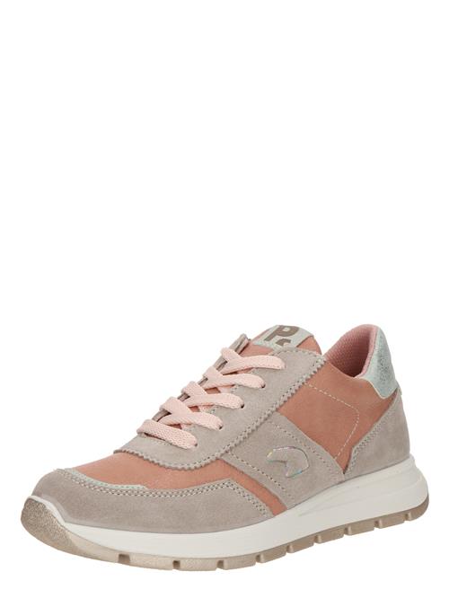 PRIMIGI Sneakers  mørkebeige / cognac