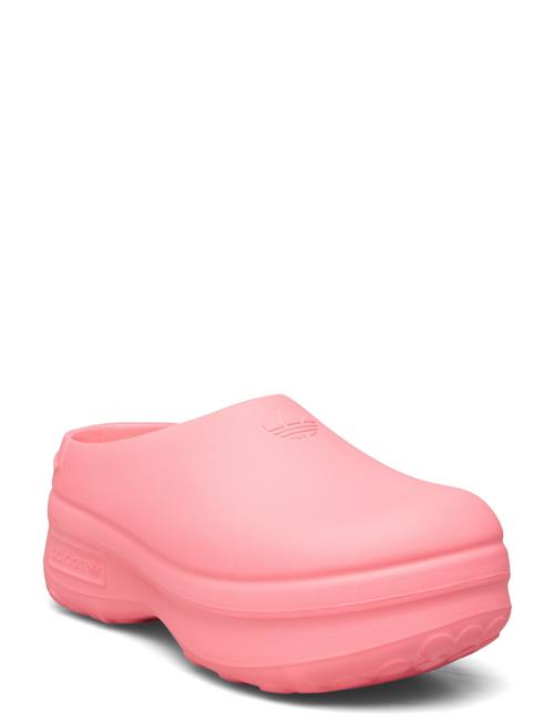 Se Adifom Stan Mule W Adidas Originals Pink ved Booztlet