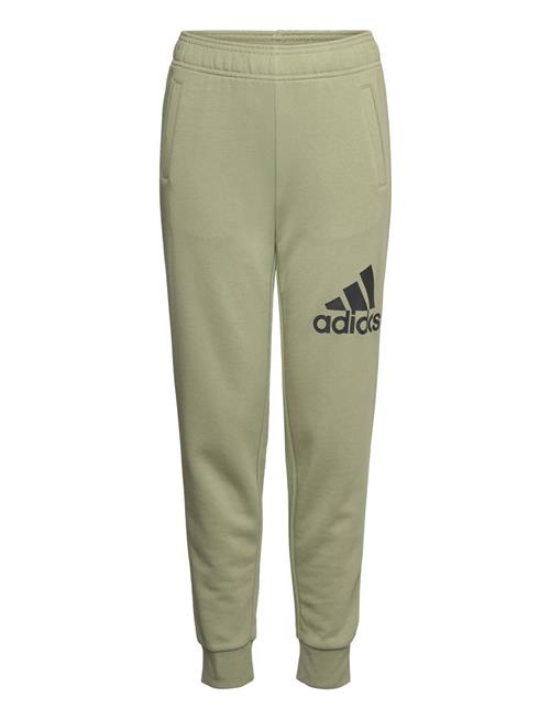 U Bl Pant Adidas Sportswear Khaki