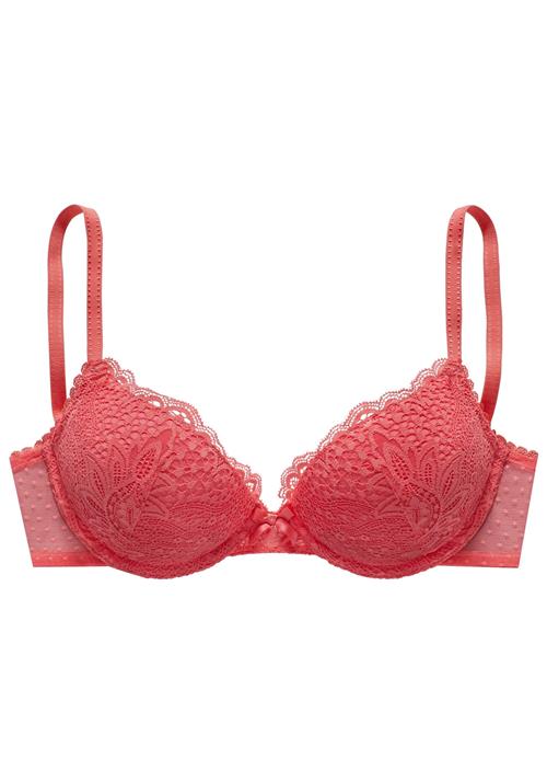 VIVANCE BH  koral