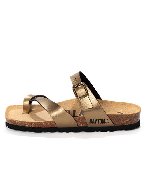 Bayton Pantoletter  bronze