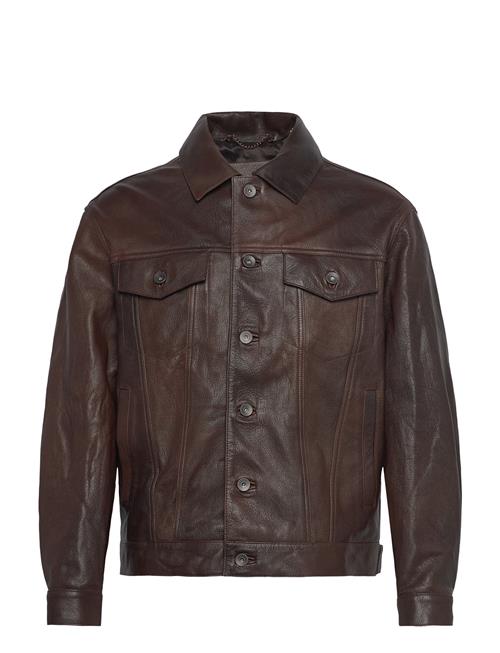 Leather Trucker Jacket GANT Brown