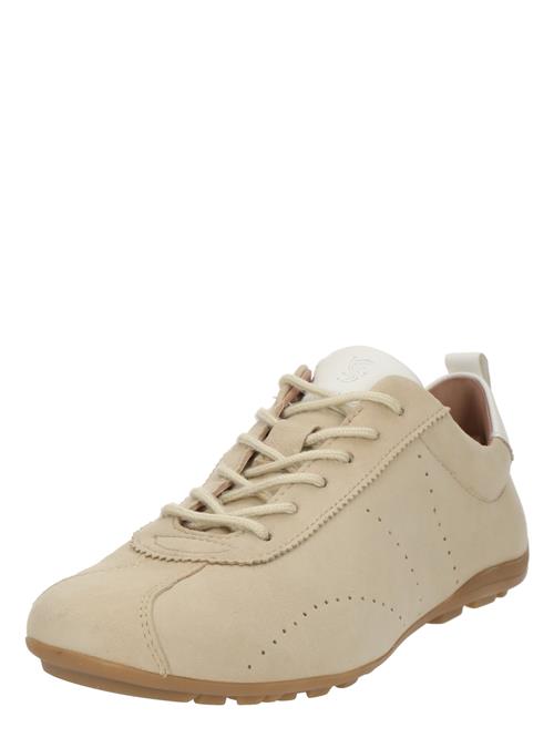 SALAMANDER Sneaker low  beige / hvid