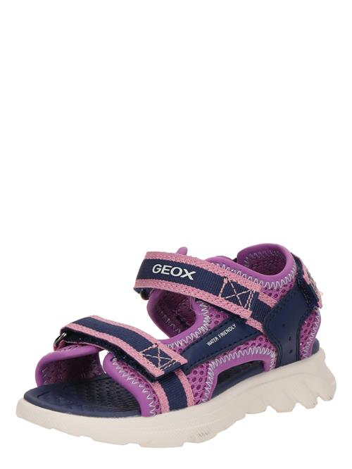 GEOX Sandaler 'Airadyum'  navy / orkidee / lyserød / hvid