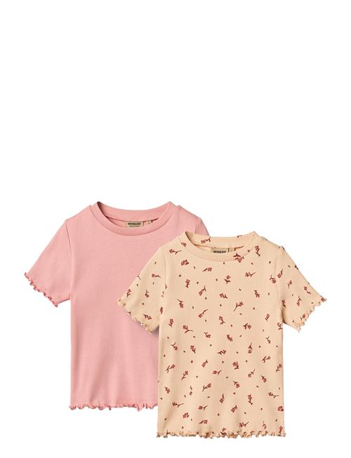 2 Rib T-Shirt S/S Alicia Wheat Pink