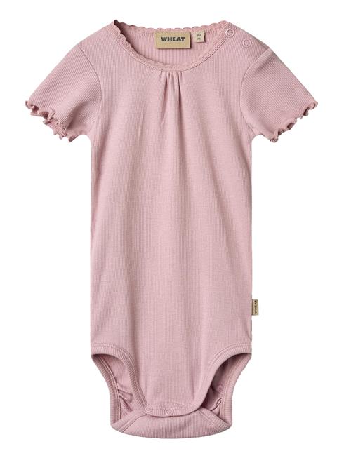 Rib Body S/S Edna Wheat Pink