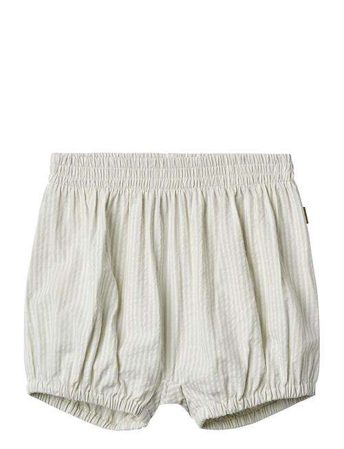 Shorts Ollie Wheat Blue