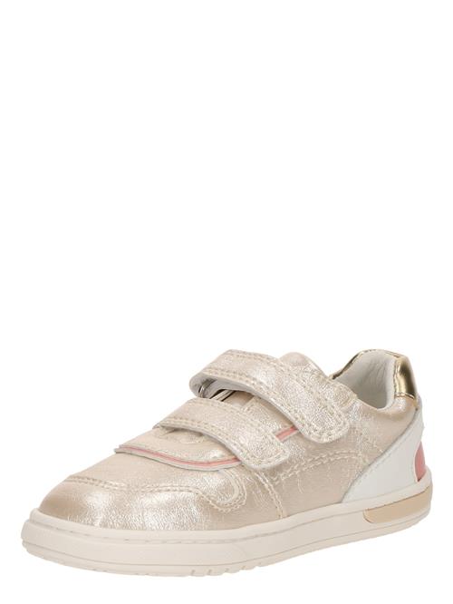 Se PRIMIGI Sneakers  elfenben / guld / lyserød / hvid ved About You