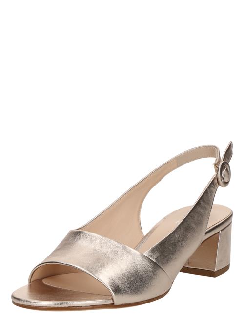 Högl Sandaler med rem 'JOY'  brun