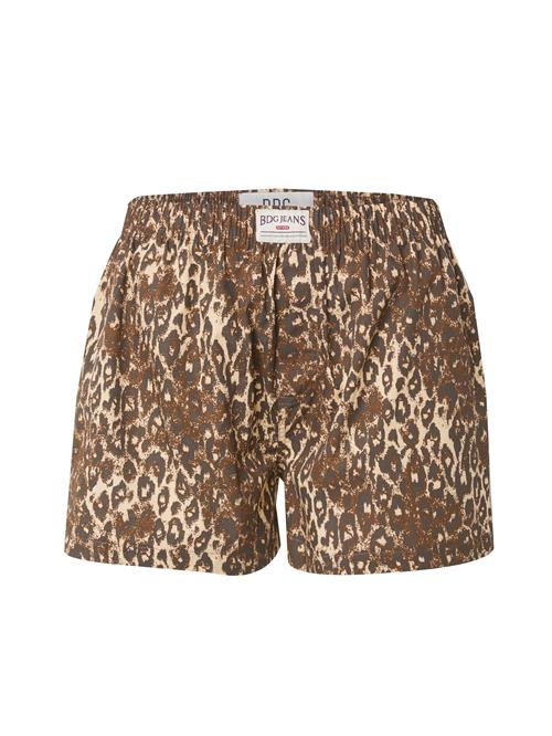 BDG Urban Outfitters Bukser  brun