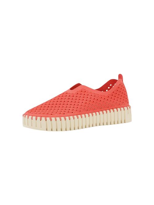 ILSE JACOBSEN Slip On 'TULIP3373'  koral