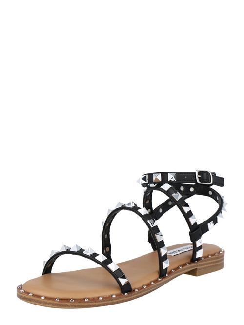 STEVE MADDEN Sandaler med rem 'Travel'  sort / sølv