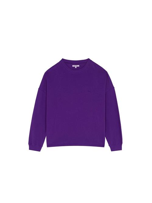Scalpers Sweatshirt ' '  lilla
