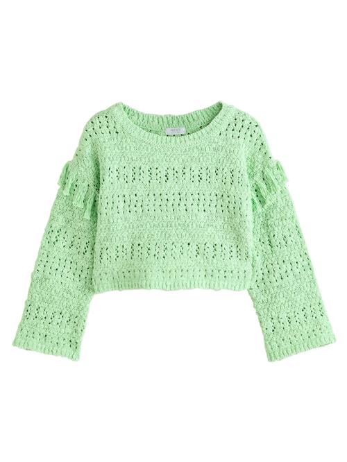 Next Pullover  mint
