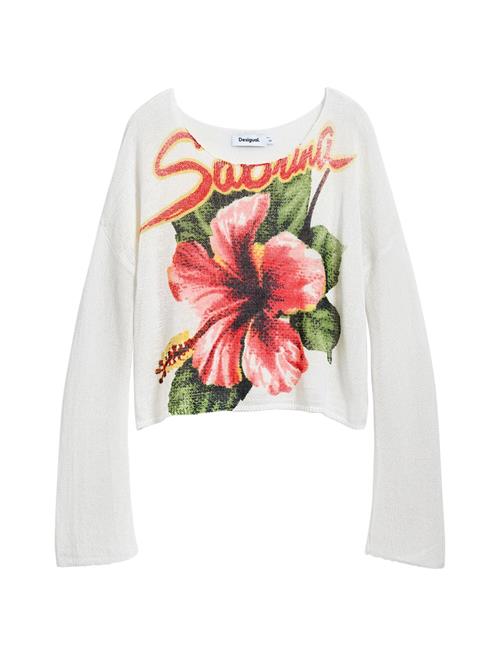 Desigual Pullover 'Sabrina'  blandingsfarvet / hvid