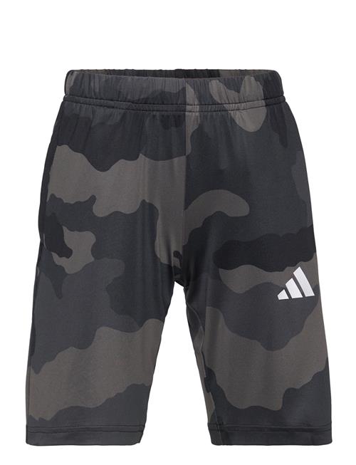 Se J Tr-Es Pri Sh Adidas Sportswear Black ved Booztlet