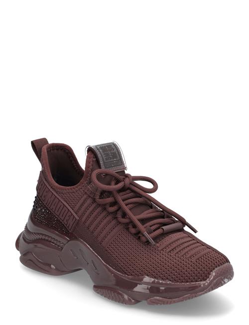 Maxilla-R-E Steve Madden Burgundy