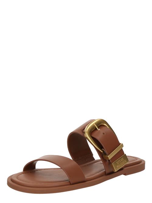 STEVE MADDEN Pantoletter 'Strider-E'  cognac