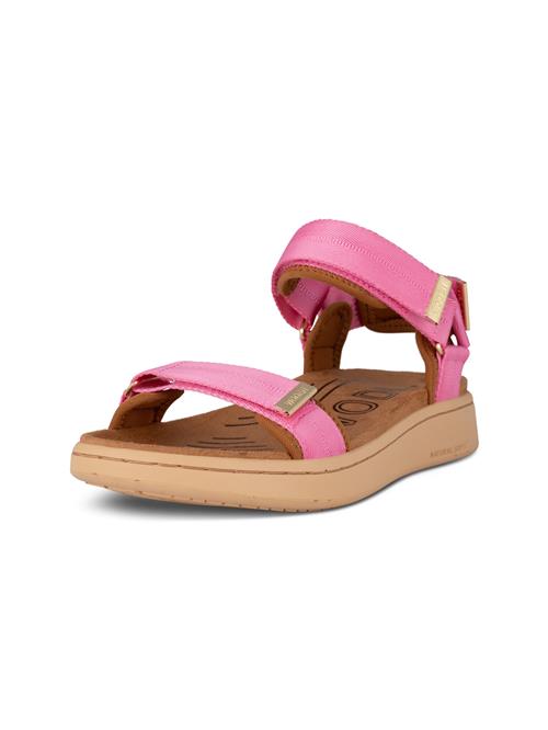WODEN Sandaler 'Line'  karamel / pitaya