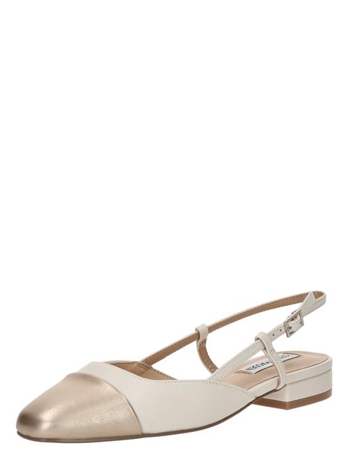 STEVE MADDEN Ballerinasko med rem 'BELINDA'  creme / guld