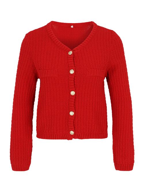 Only Petite Cardigan 'ONLNOLAN'  rød