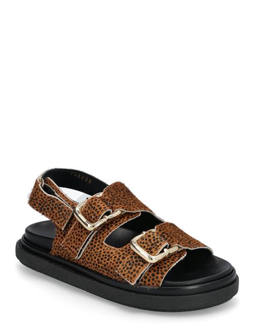 Harper Leather Sandals ALOHAS Brown